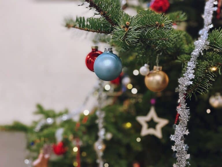 Baum2